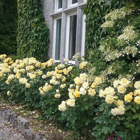 Courtyard Cottage Carlow Kültér fotó