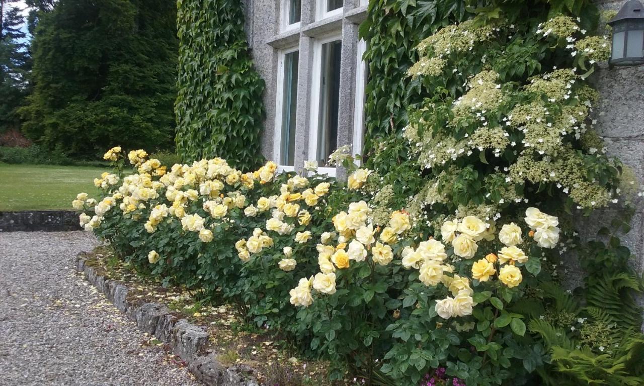 Courtyard Cottage Carlow Kültér fotó